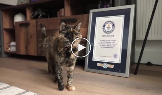 Flossy is the oldest cat in the world