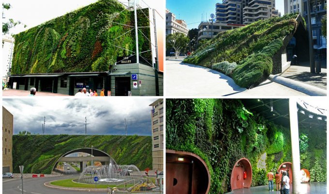 15 вертикальных садов по всему миру (23 фото)