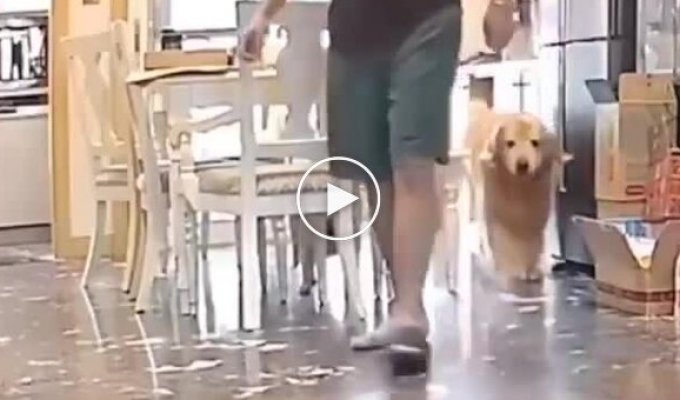 В поисках потерянной тапки