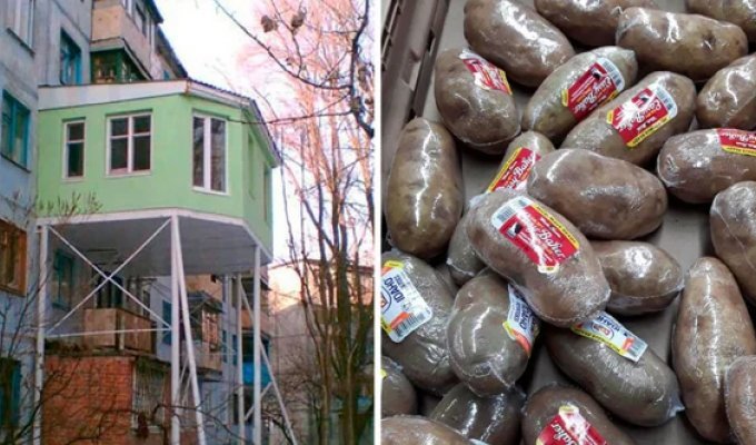 16 примеров, когда поступки людей доходят до абсурда, и им нет логического объяснения (17 фото)