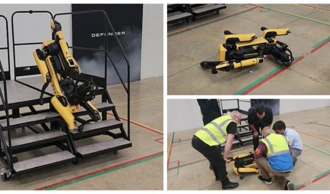 A robotic dog fell down the stairs and broke during a demonstration (10 photos + 1 video)