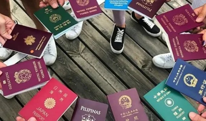 Why Passport Covers Around the World Only Come in Four Colors (6 photos)