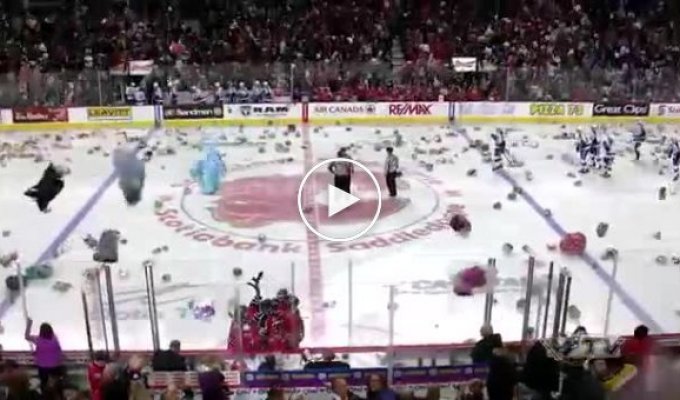 Хоккейные болельщики выбросили на лед 28 815 плюшевых мишек