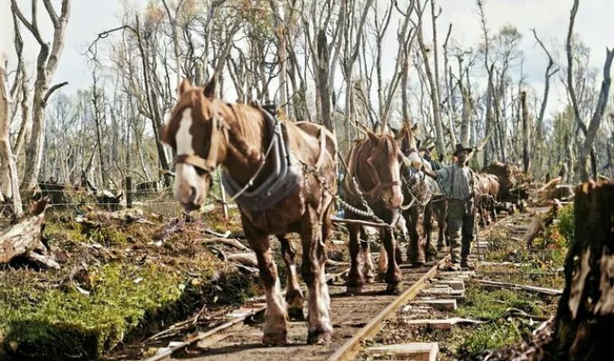 Unusual And Interesting Photos From Around The World Taken In The 20th Century (21 photos)