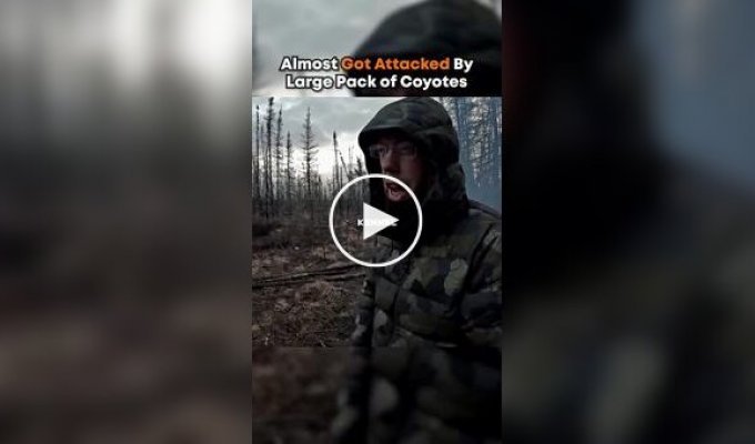 Отправившийся в лес турист проснулся от неприятного смеха рядом