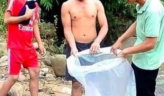 Во Вьетнаме родители отправляют детей в школу в полиэтиленовых пакетах (4 фото)