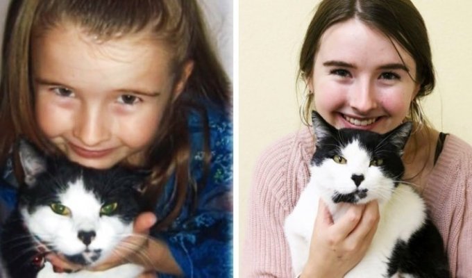 Девушка нашла потерянного кота во время волонтерства в приюте для животных (8 фото)
