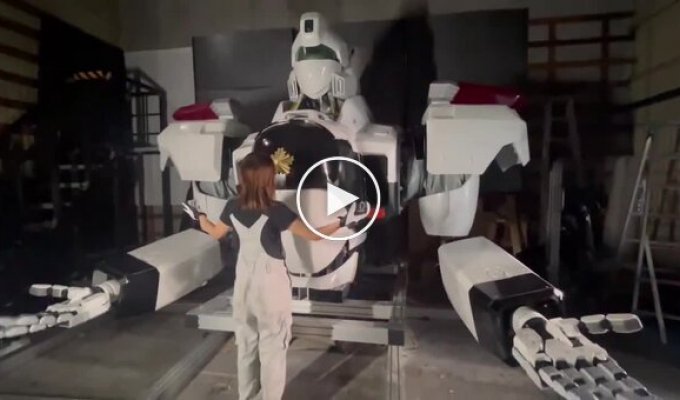 Japanese company creates a manned robot