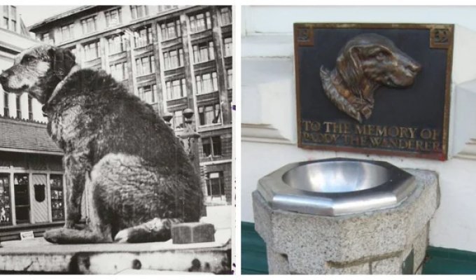 Paddy the Wanderer Fountain is a tender and symbolic dedication to the great New Zealand traveler (7 photos)