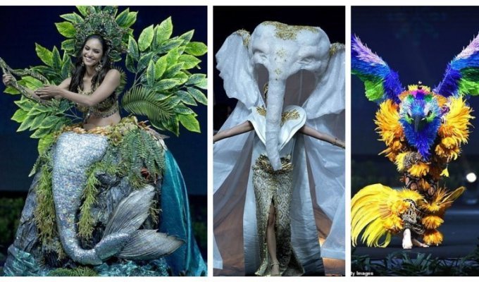 Участницы конкурса "Мисс Вселенная" показали необычные национальные костюмы (22 фото)