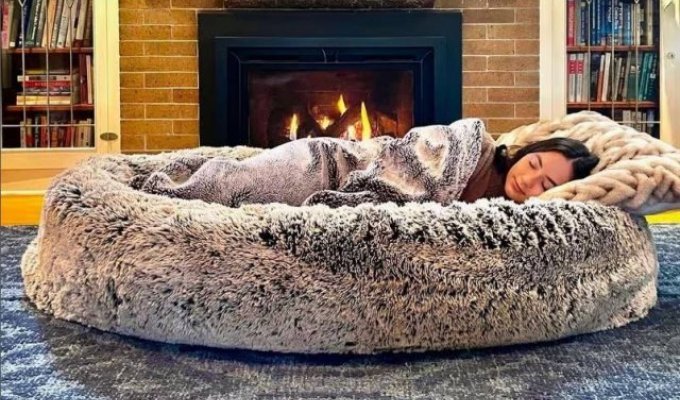 Dog beds for people (3 photos)
