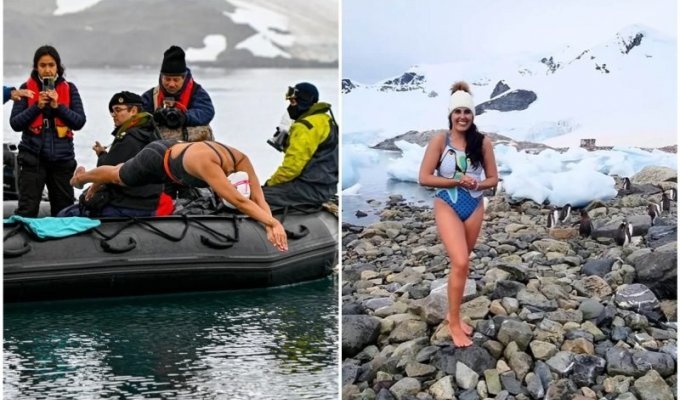Swimmer from Chile swam 2.5 km in the waters of Antarctica (9 photos + 2 videos)
