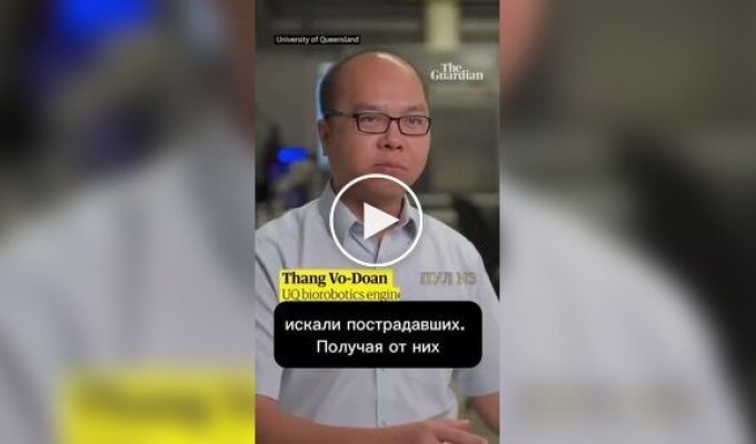В Австралии создали тараканов-киборгов для спасательных операций