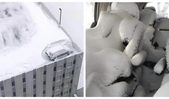 29 уморительных зимних неудач (30 фото)