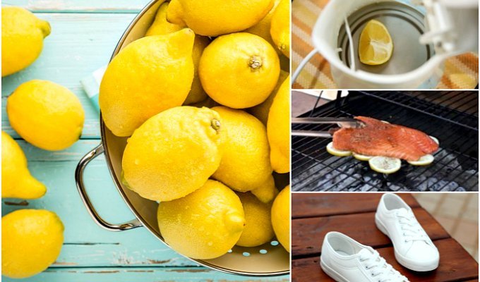 Невероятные способы использования лимона в хозяйстве (21 фото)