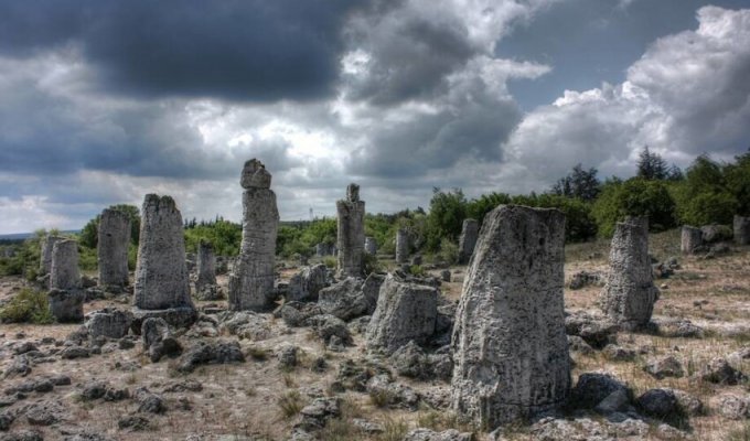 Как в Болгарии появился Каменный лес (4 фото)