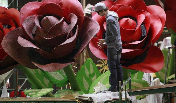 Подготовка к Параду Роз в Пасадене (13 фото)