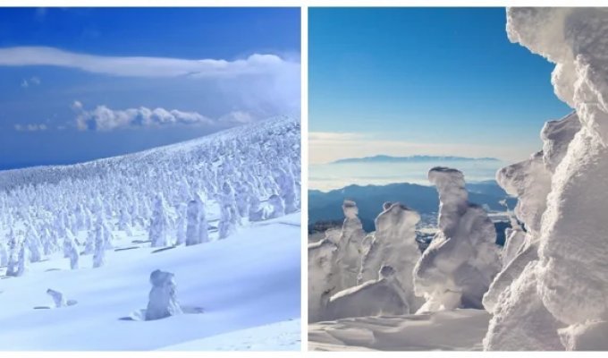 Джухё – ледяные призрачные стражи горы Дзао (17 фото)