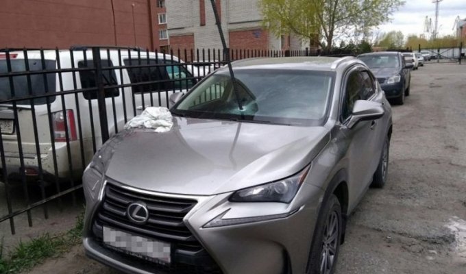 В припаркованный во дворе Омска Lexus воткнули лом (4 фото + 1 видео)