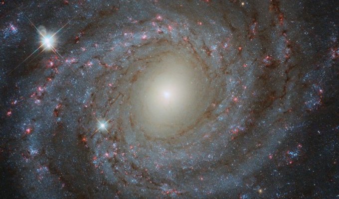 Просто космос! Лучшие снимки телескопа «Хаббл» за 2018 год (24 фото)