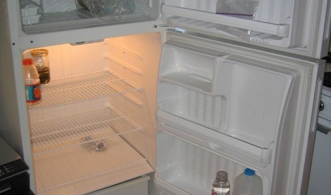 Холодильники холостяков (21 фото)
