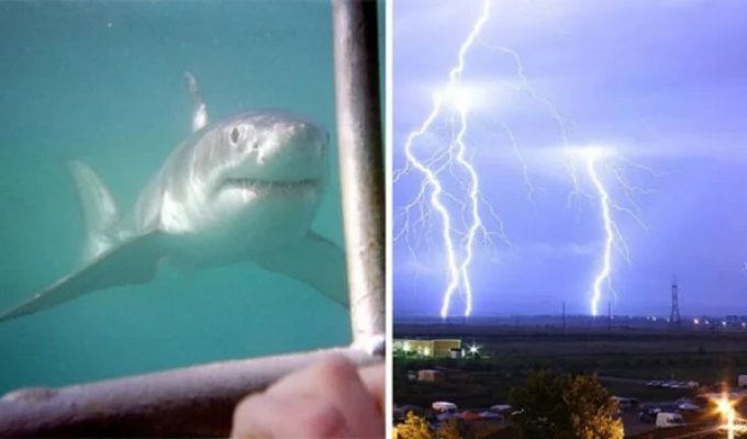 30 Amazing Facts That Will Blow Your Mind (31 photos)