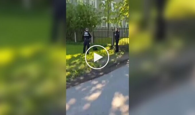 В Риге полицейские задержали бобра за «неправильный отдых»