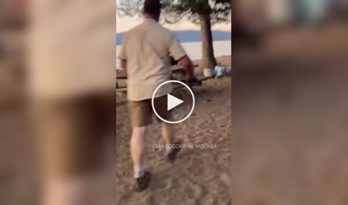 In the US, a fearless man with a shovel chased a bear off the beach