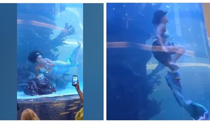 Mermaid shed her tail to avoid tragedy (3 photos + 1 video)