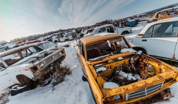 Кладбище отечественных автомобилей под Воронежем (6 фото)