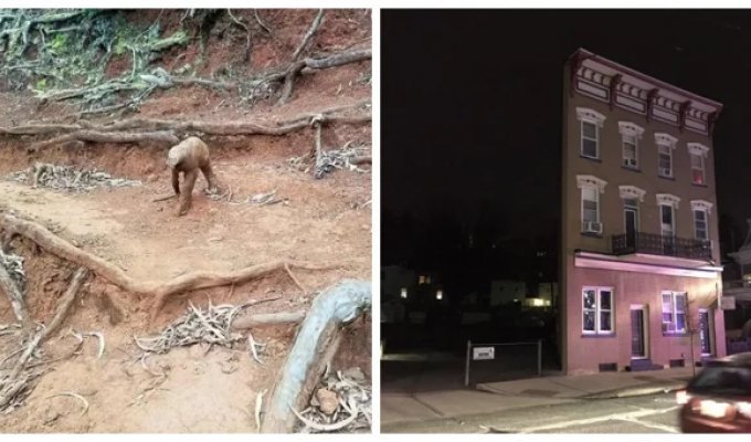 20 ярких примеров того, как виртуозно глаза и мозг могут нас обманывать, создавая новую реальность (21 фото)