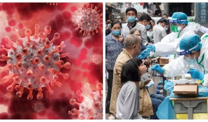 An outbreak of metapneumovirus affecting the lungs has been recorded in China (6 photos + 2 videos)