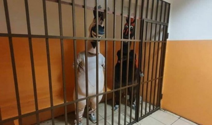 Нелепые задержанные: в Адлере задержали наглых преступников, заставлявших туристов с ними фотографироваться (3 фото)