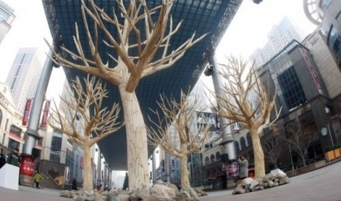 Деревья из китайских палочек (6 фотографий)