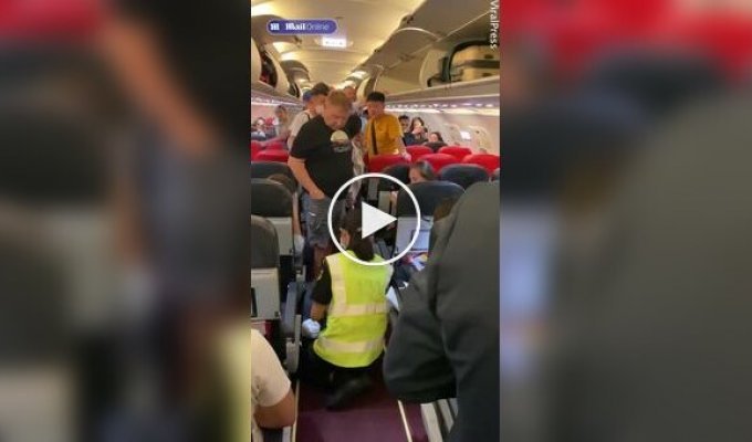 Змія пробралася в літак і налякала пасажирів