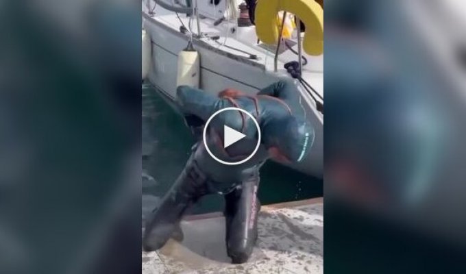 Осьминог напал на дайвера в Турции