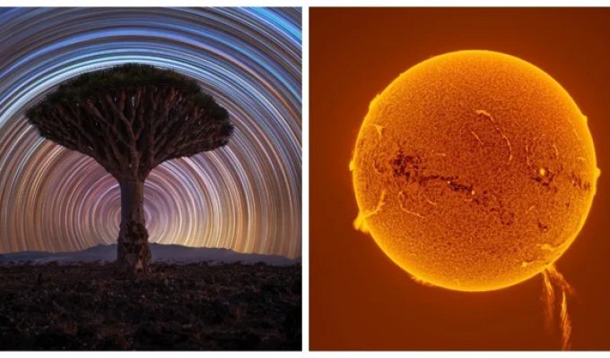 Лучший астрономический фотограф - 2025: двадцатка фото, претендующих на победу в этом году (22 фото)