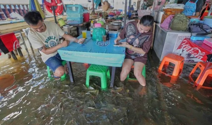 Бизнес на катастрофе или рыбный успех тайского ресторана (4 фото)