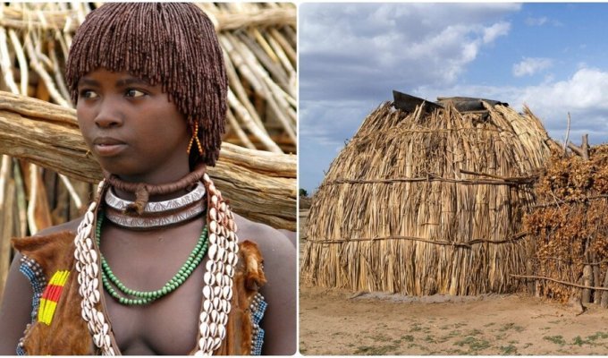Жахливі традиції Ефіопії: як у племенах позбавляють невинності наречених (5 фото)