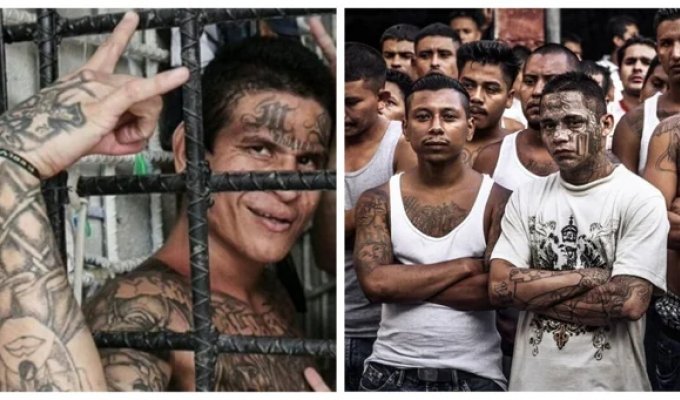 MS-13: the story of the most brutal gang in the world (10 photos)