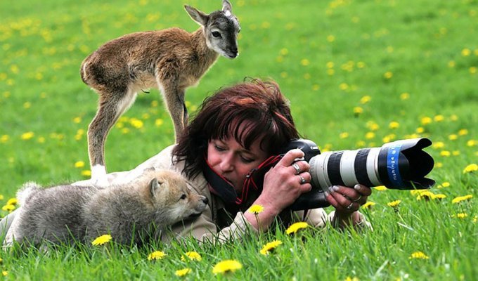33 причины, почему фотограф дикой природы - лучшая профессия в мире (34 фото)