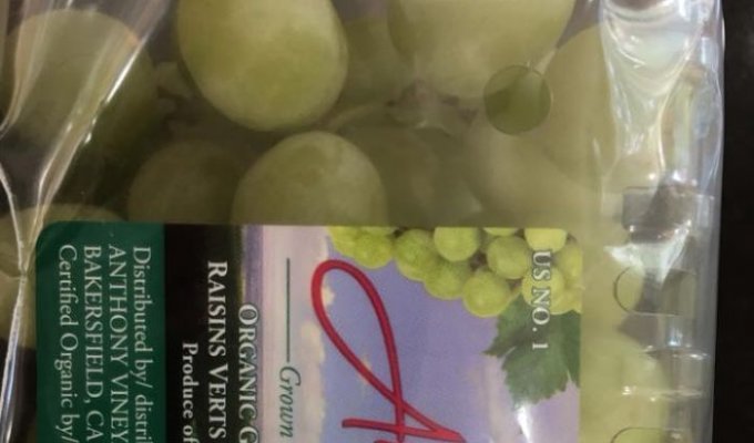 Страшная находка в упаковке с купленным виноградом (4 фото)