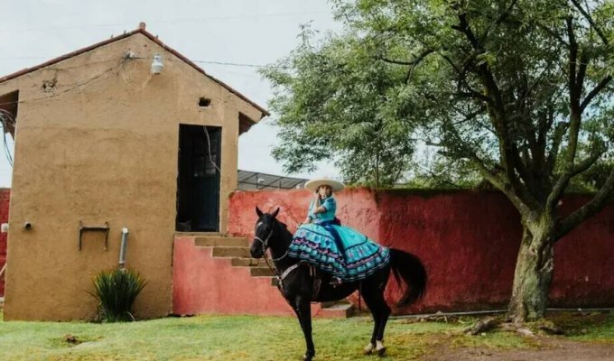 Charro escaramuza: how Mexican women are addicted to rodeo (8 photos + 1 video)