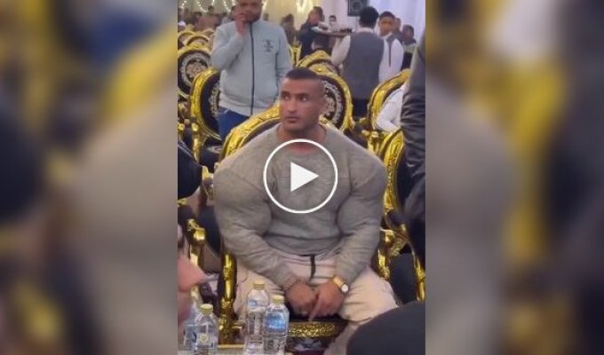 Телохранитель египетского бизнесмена