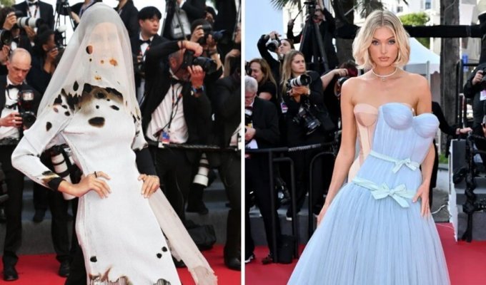 17 Ambiguous Outfits Celebrities Wear on the Cannes Film Festival Red Carpet (18 Photos)
