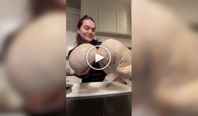 Редкий деликатес: гигантский головач и его необычные свойства