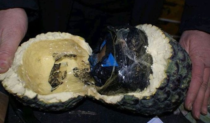 Контрабандисты пытались перевезти 200 кг кокаина внутри пустых ананасах (3 фото + видео)