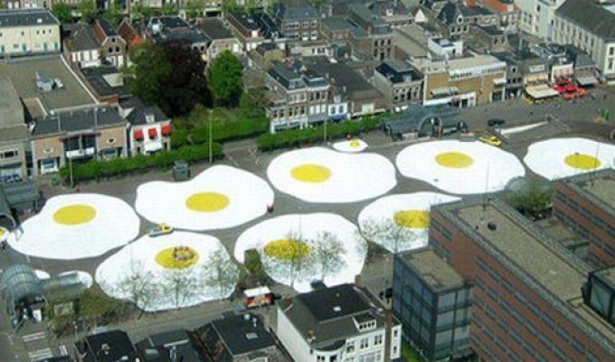  Огромные яйца в Голландии (5 Фото)