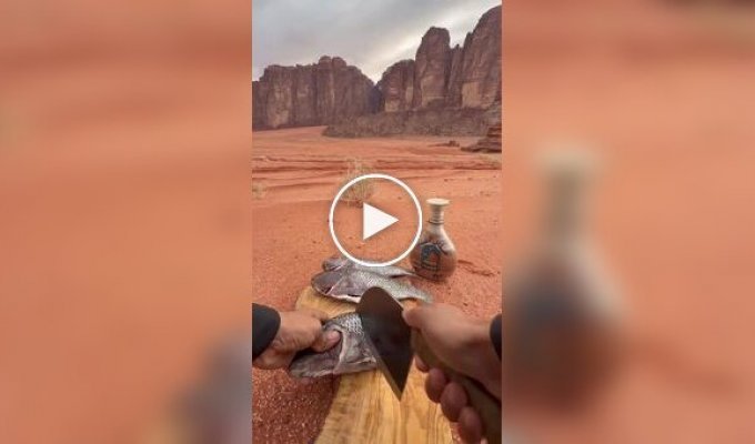 Вкусный обед в пустыне