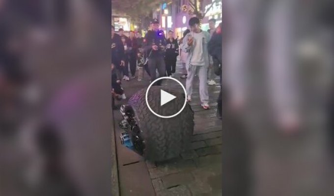 Шарообразный полицейский робот
